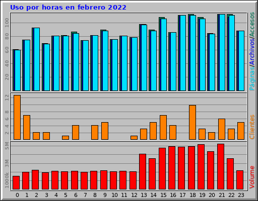 Uso por horas en febrero 2022